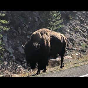 Meet your Posher, John